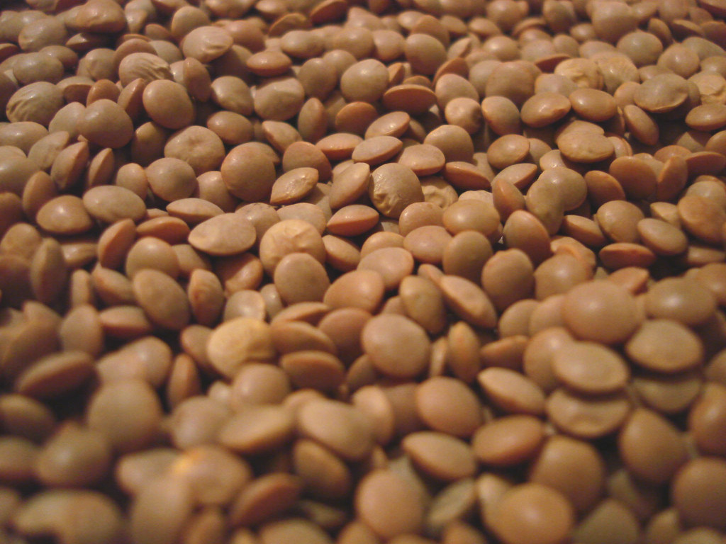 Organic Brown Lentils