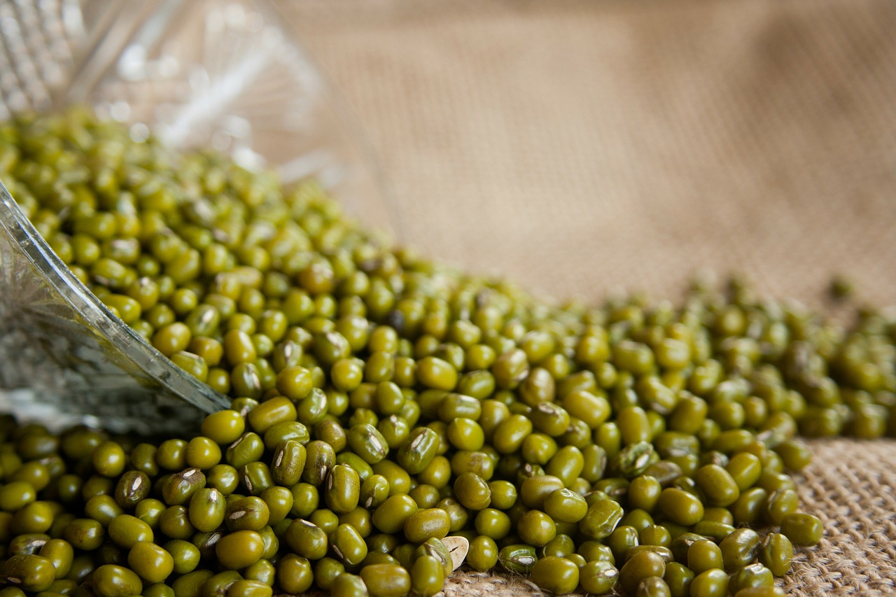 Organic Mung Beans