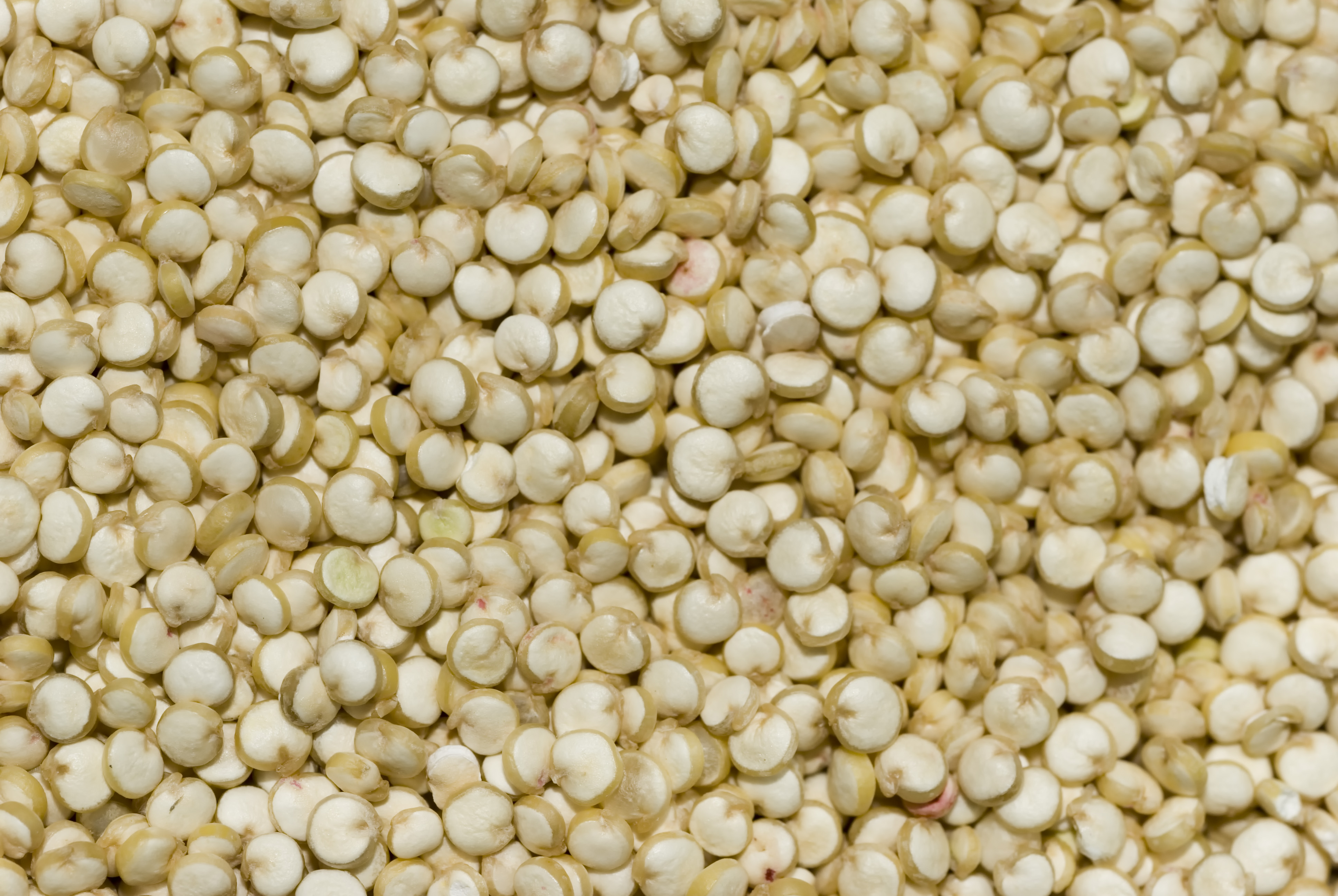 Organic Quinoa